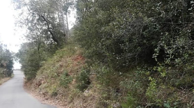 Tarragona - la Barceloneta - 60000m2