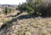 Terreno no urbanizable en venta en la Poligono 79 Parcelas 169, Benissa, ref: TR103196 foto