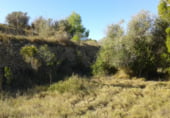 Terreno no urbanizable en venta en la Poligono 79 Parcelas 169, Benissa, ref: TR103196 foto