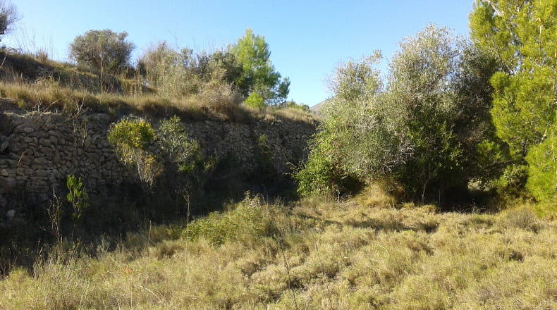 Alicante - Benisa - 5900m2