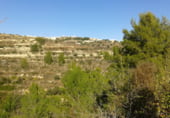 Terreno no urbanizable en venta en la Poligono 79 Parcelas 169, Benissa, ref: TR103196 foto