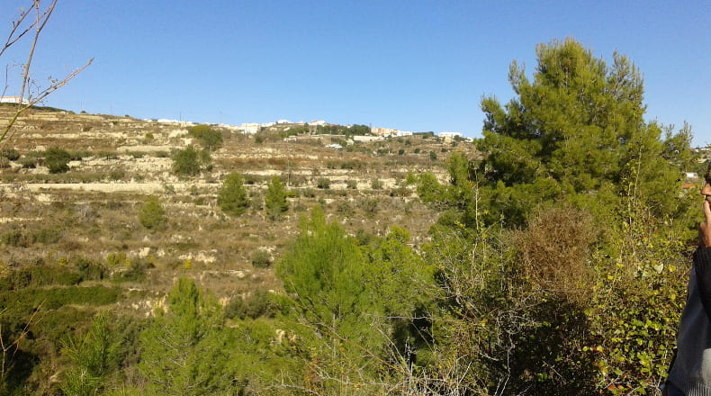 Alicante - Benisa - 5900m2