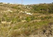 Terreno no urbanizable en venta en la Poligono 79 Parcelas 169, Benissa, ref: TR103196 foto