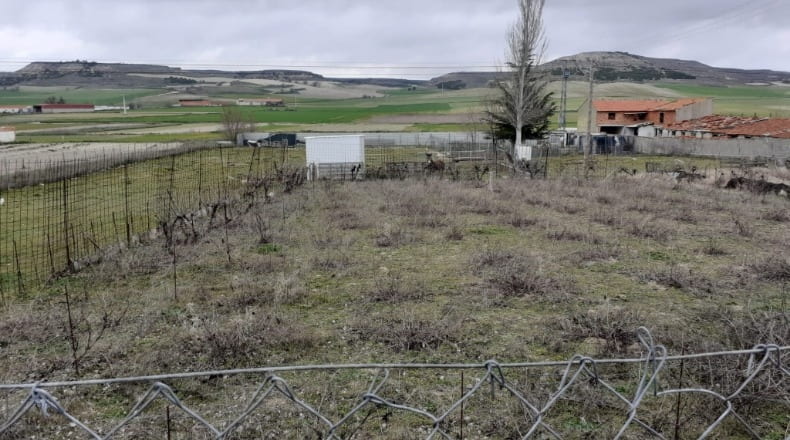 Segovia - San Cristóbal de Cuéllar - 5000m2