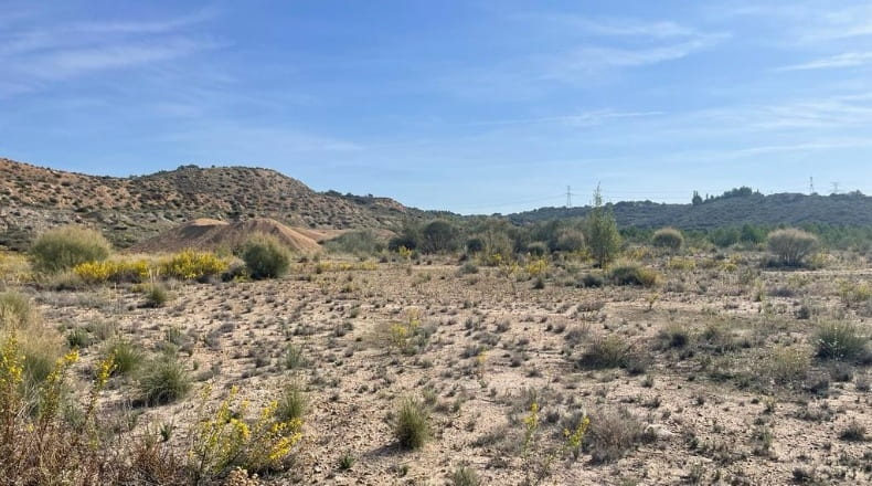 Comunidad de Madrid - Chinchón - 410000m2