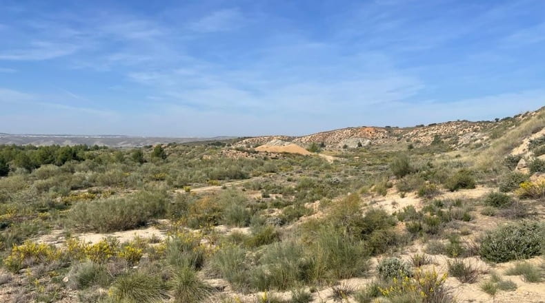 Comunidad de Madrid - Chinchón - 410000m2