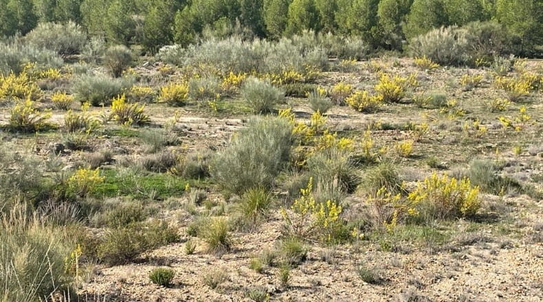 Comunidad de Madrid - Chinchón - 410000m2