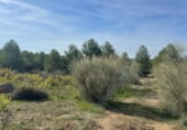 Terreno no urbanizable en venta en la poligono 28 parcela 16 valromeroso chinchón, Chinchón, ref: TR103200 foto