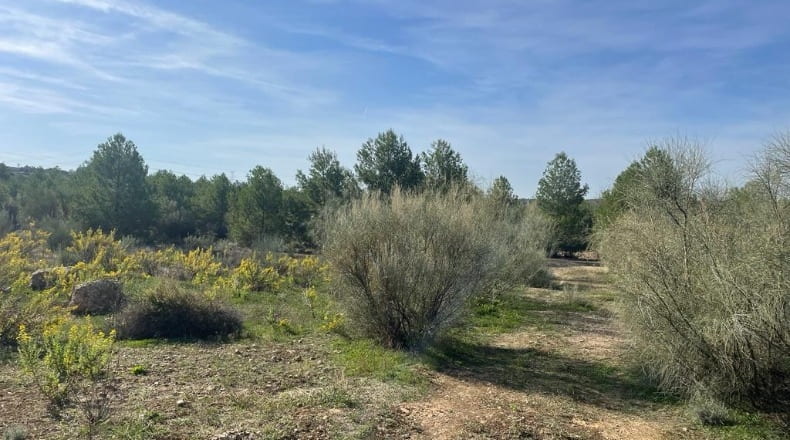 Comunidad de Madrid - Chinchón - 410000m2