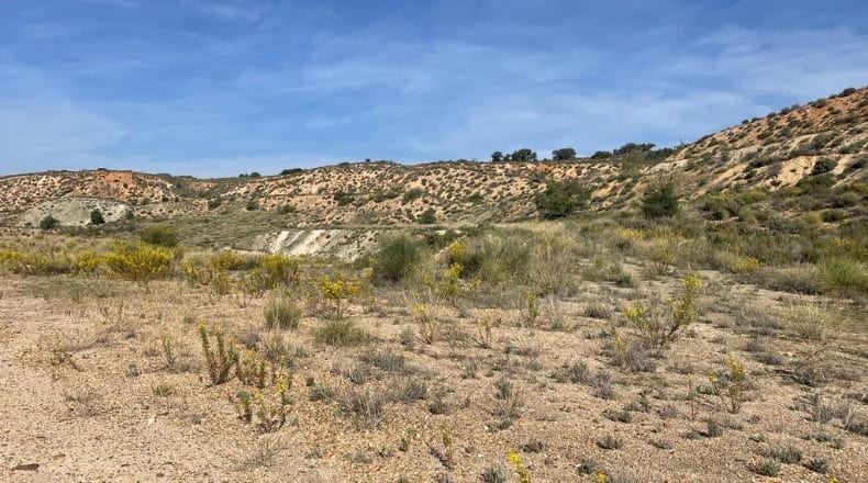 Comunidad de Madrid - Chinchón - 410000m2