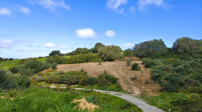 Cadiz - Barbate - 1170m2