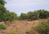Parcela urbanizable en venta en la Costal, Montánchez, ref: TR103218 foto