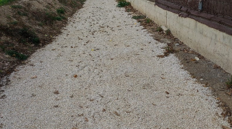 Murcia - Murcia - 3700m2