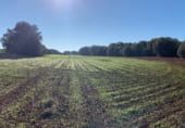 Non-developable land for sale on CR-624, Cózar, ref: TR103338 photo