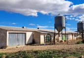 Industrial warehouse for sale on camino sangorrina s/n, Paniza, ref: TR103351 photo