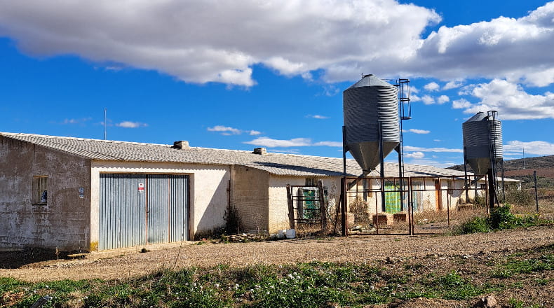 Zaragoza - Paniza - 2150m2