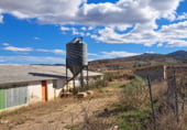 Industrial warehouse for sale on camino sangorrina s/n, Paniza, ref: TR103351 photo