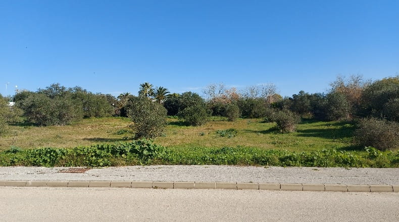 Sevilla - Sanlúcar la Mayor - 2706m2