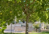 Участок с бассейном на продажу в городе Льорет де Мар Фото