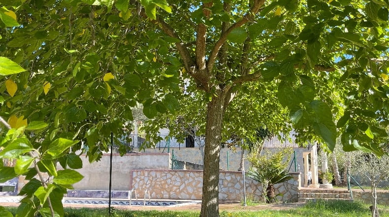 Gerona - Lloret de Mar - 750m2