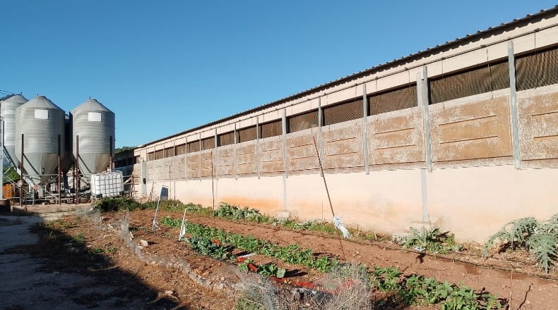 Castellón - Rosell - 18600m2