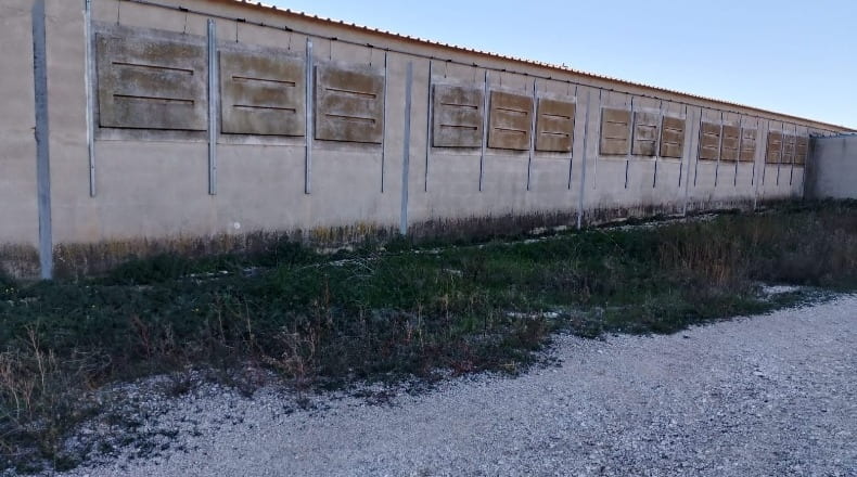 Castellón - Rosell - 18600m2