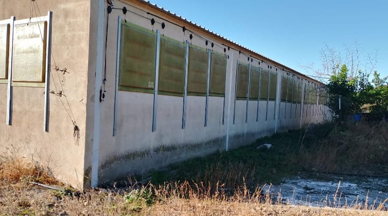 Castellón - Rosell - 18600m2
