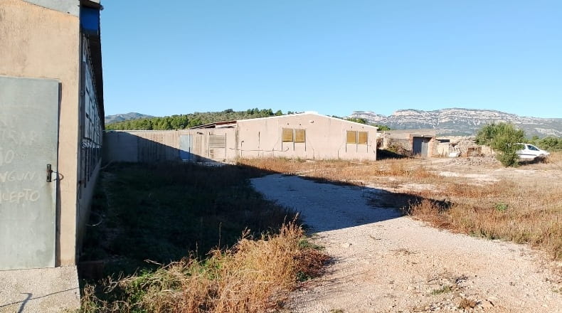 Castellón - Rosell - 18600m2