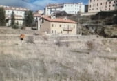 Land suitable for development for sale on ARRABAL, Ejulve, ref: TR103507 photo