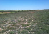 Terreno no urbanizable en venta en la El Encaño, Santa María de los Llanos, ref: TR103535 foto