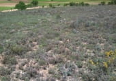 Terreno no urbanizable en venta en la El Encaño, Santa María de los Llanos, ref: TR103535 foto