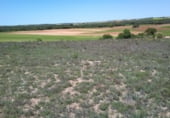 Terreno no urbanizable en venta en la El Encaño, Santa María de los Llanos, ref: TR103535 foto