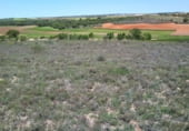Terreno no urbanizable en venta en la El Encaño, Santa María de los Llanos, ref: TR103535 foto
