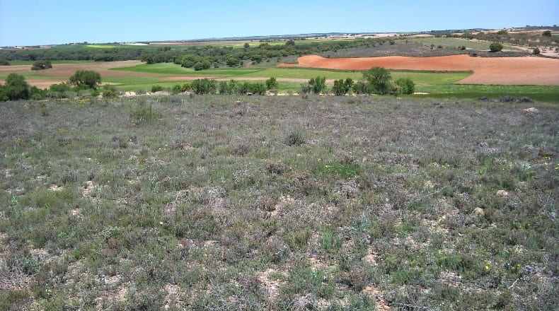 Cuenca - Santa María de los Llanos - 20115m2