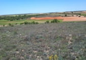 Terreno no urbanizable en venta en la El Encaño, Santa María de los Llanos, ref: TR103535 foto