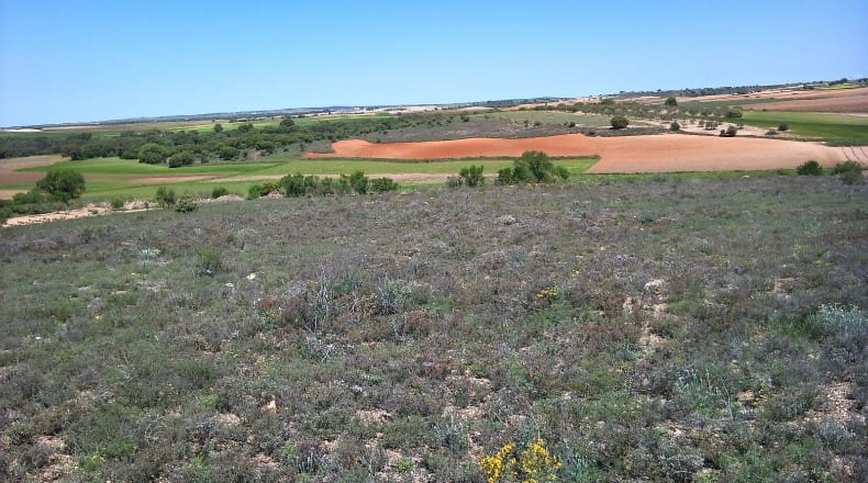Cuenca - Santa María de los Llanos - 20115m2