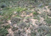 Terreno no urbanizable en venta en la El Encaño, Santa María de los Llanos, ref: TR103535 foto