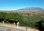 Sòl urbà en venda a la Urbanizacion Lagar Martell, Mijas, ref.: TR103708 foto