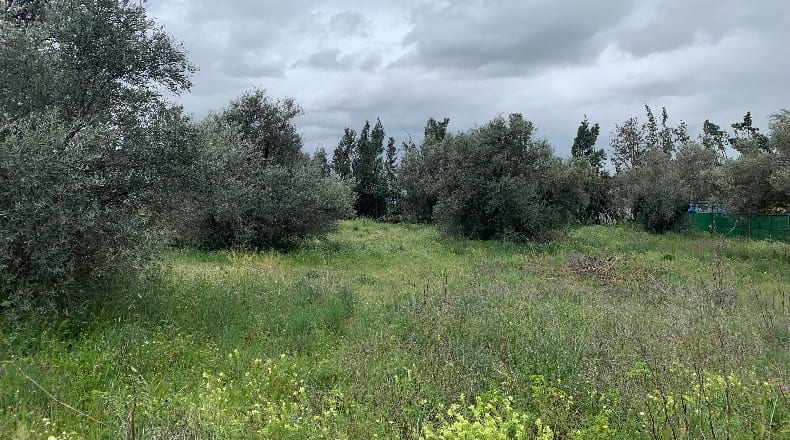 Toledo - Pradillos - 1200m2