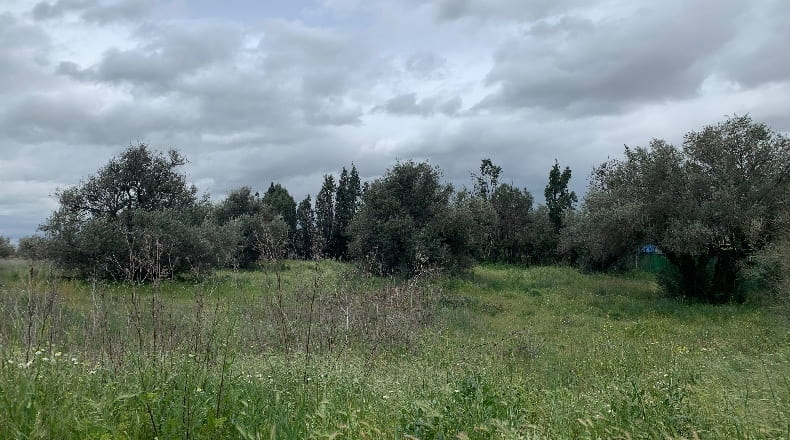 Toledo - Pradillos - 1200m2