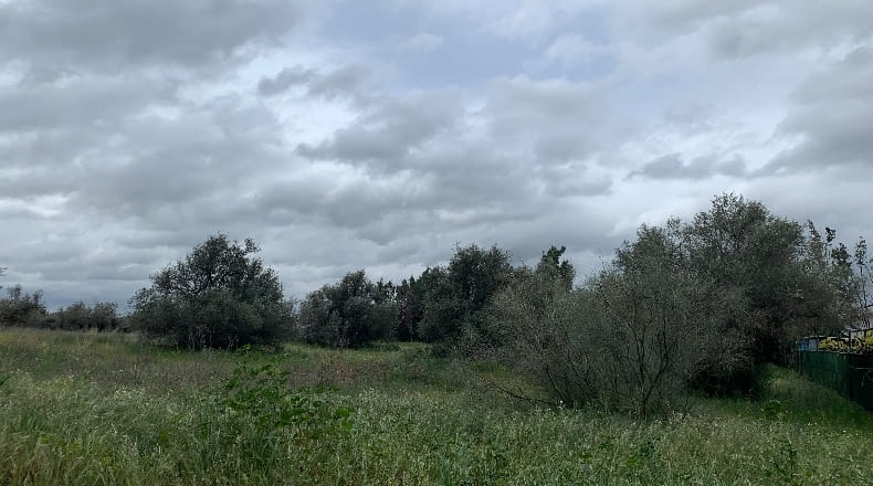 Toledo - Pradillos - 1200m2