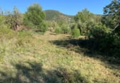 Non-developable land for sale on Masia Pla de Lluch, el Pla de Lluch, ref: TR104024 photo