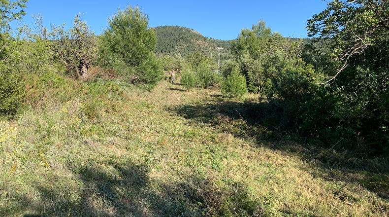 Castellón - Masia Pla de Lluch - 5447m2