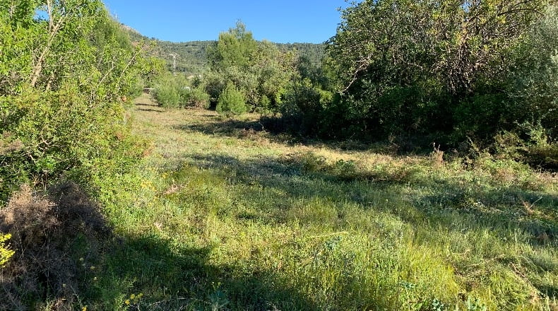 Castellón - Masia Pla de Lluch - 5447m2