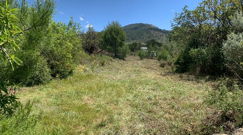 Castellón - Masia Pla de Lluch - 5447m2