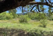 Non-developable land for sale on Masia Pla de Lluch, el Pla de Lluch, ref: TR104024 photo