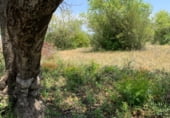 Non-developable land for sale on Masia Pla de Lluch, el Pla de Lluch, ref: TR104024 photo