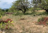 Non-developable land for sale on Masia Pla de Lluch, el Pla de Lluch, ref: TR104024 photo