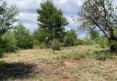 Non-developable land for sale on Masia Pla de Lluch, el Pla de Lluch, ref: TR104024 photo