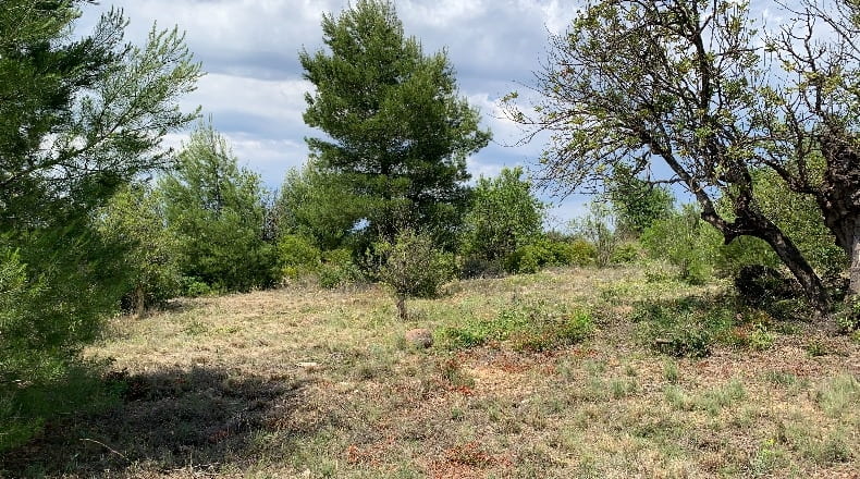 Castellón - Masia Pla de Lluch - 5447m2